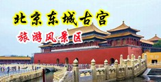 男女插穴在线观看中国北京-东城古宫旅游风景区